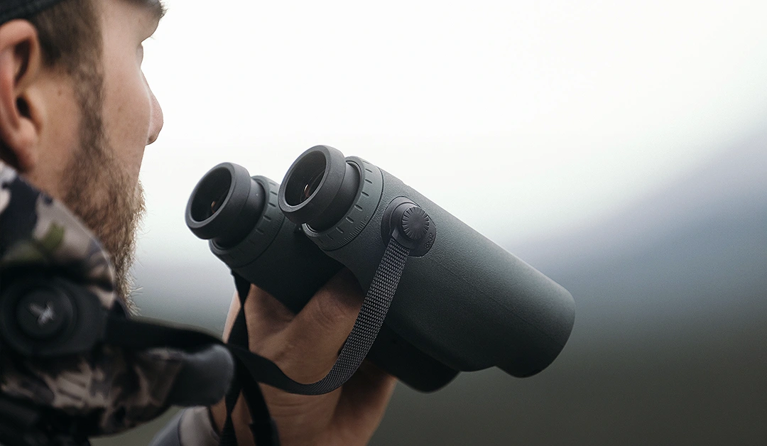 Obserwacja ptaków dla początkujących – jak zacząć swoją przygodę z birdwatchingiem?